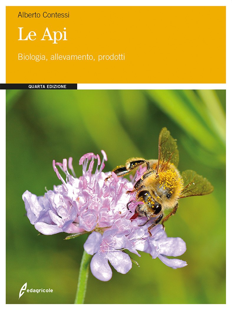 Le api Biologia, allevamento, prodotti (Contessi Alberto)